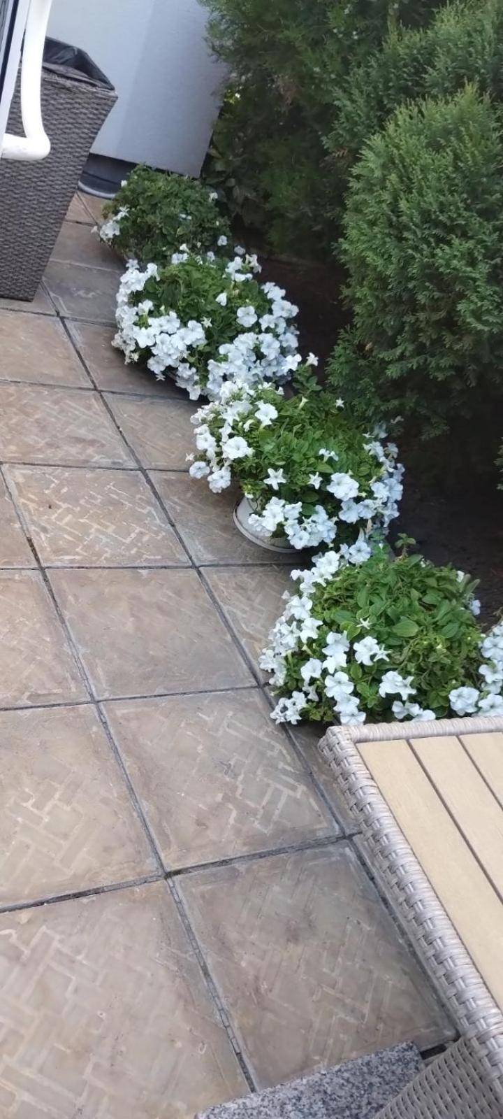 מלון דנייפרופטרובסק Шляпа מראה חיצוני תמונה